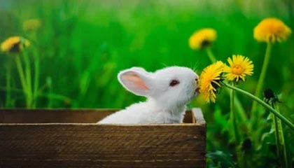 九游-费城76人总经理对未来转会市场信心十足，期待爆发，费城76人队百科