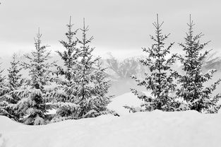 九游app官网下载-冬季滑雪公开课受家长学生欢迎，冬季滑雪公开课受家长学生欢迎怎么办