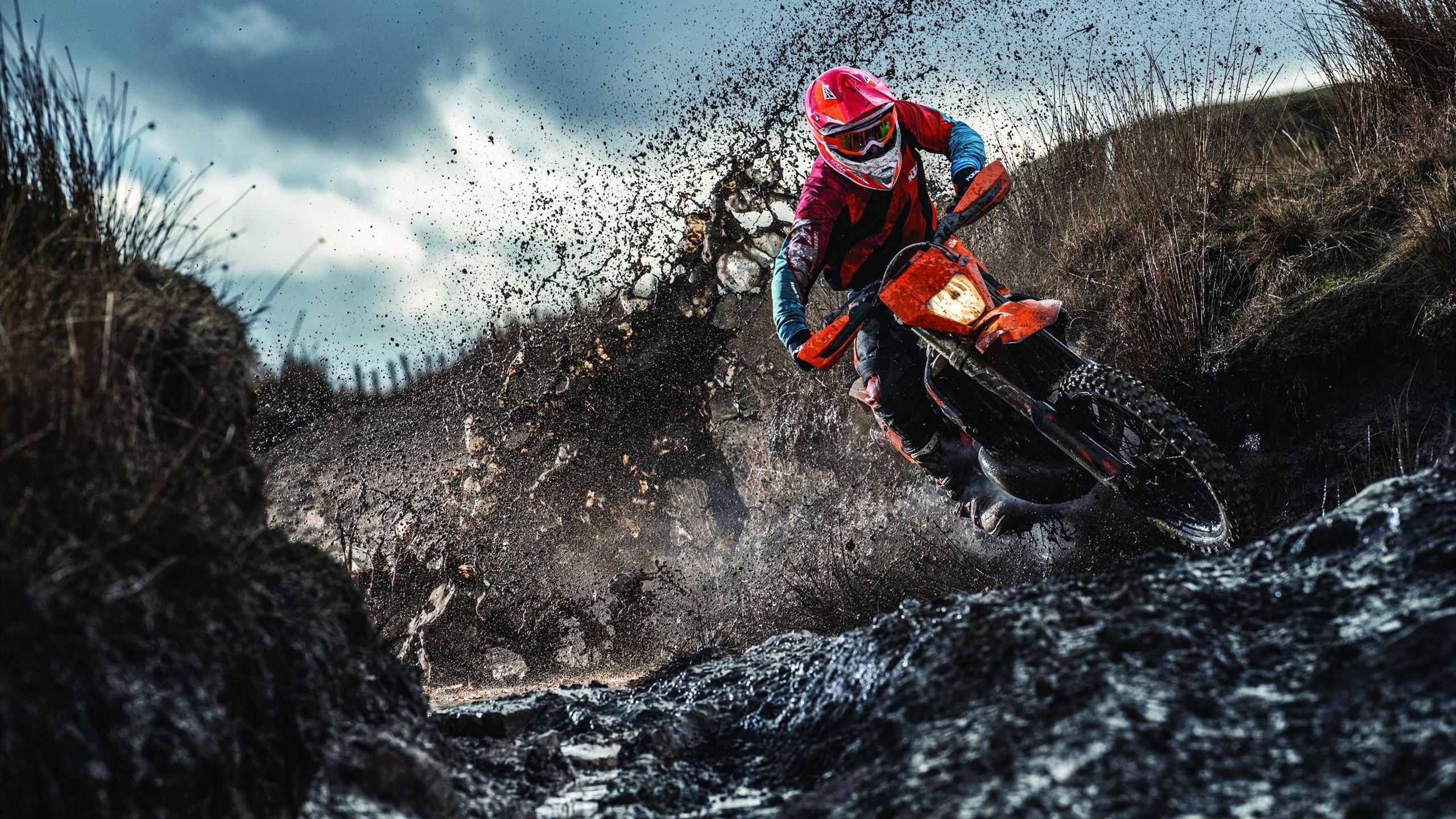 首次公开赛:新人与老将的精彩碰撞,新人赛2021